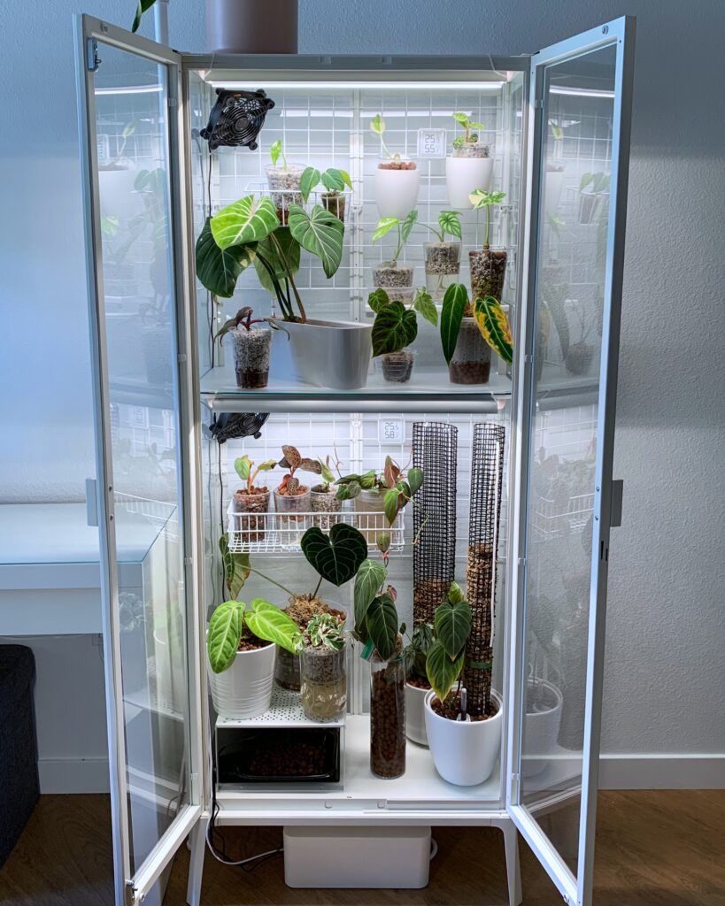 Una vitrina llena de plantas