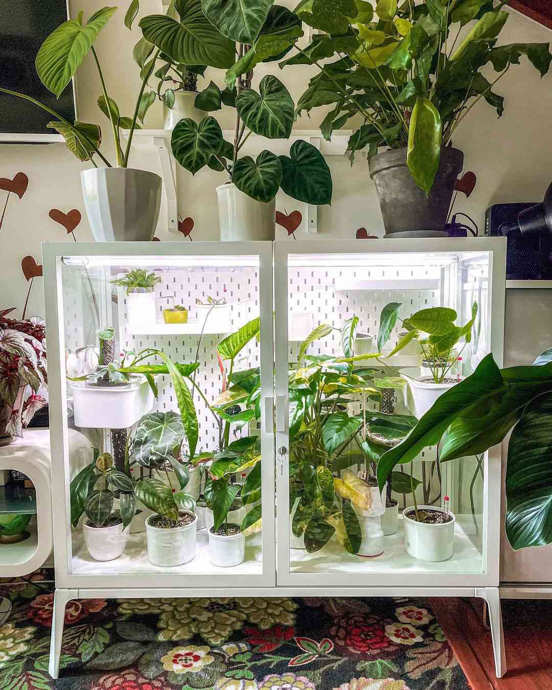 Gabinete de invernadero interior blanco con plantas en la parte superior